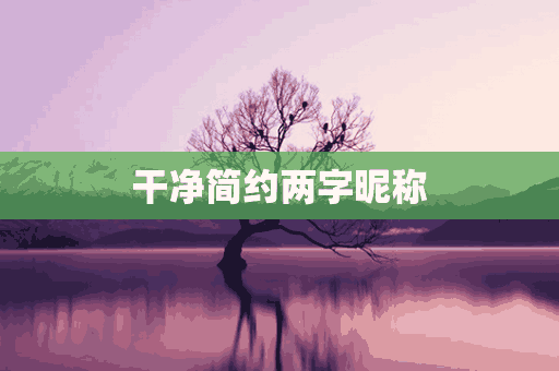 干净简约两字昵称(简约干净昵称二字)